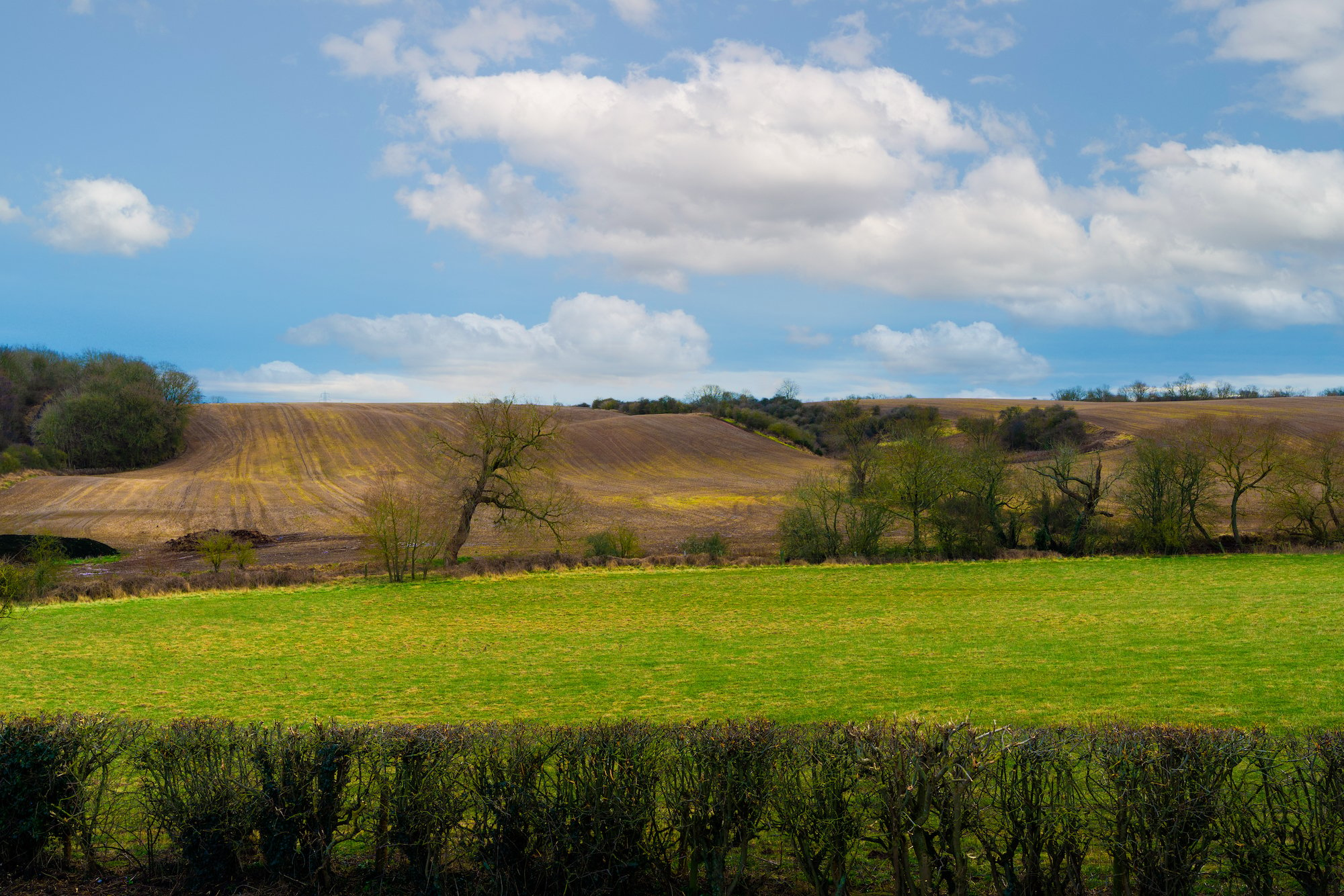 north east countryside