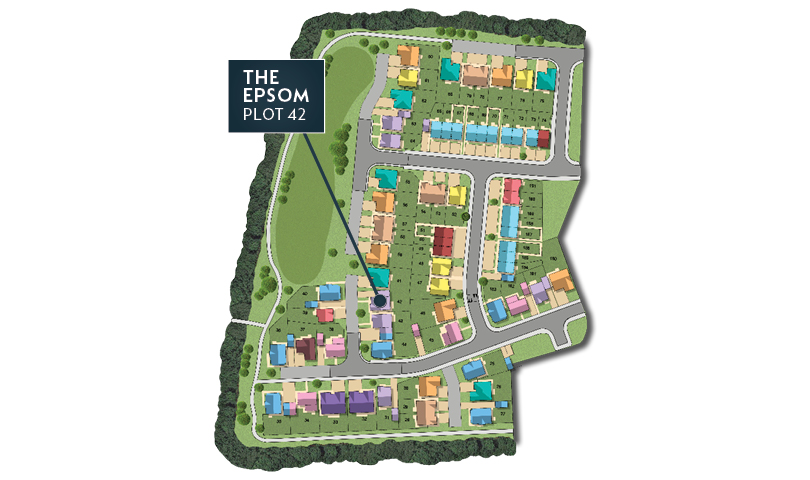 MSG MAP web Phase 2 Epsom 42