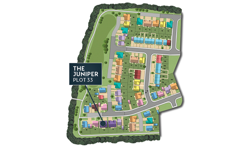 MSG MAP web Phase 2 Juniper 33