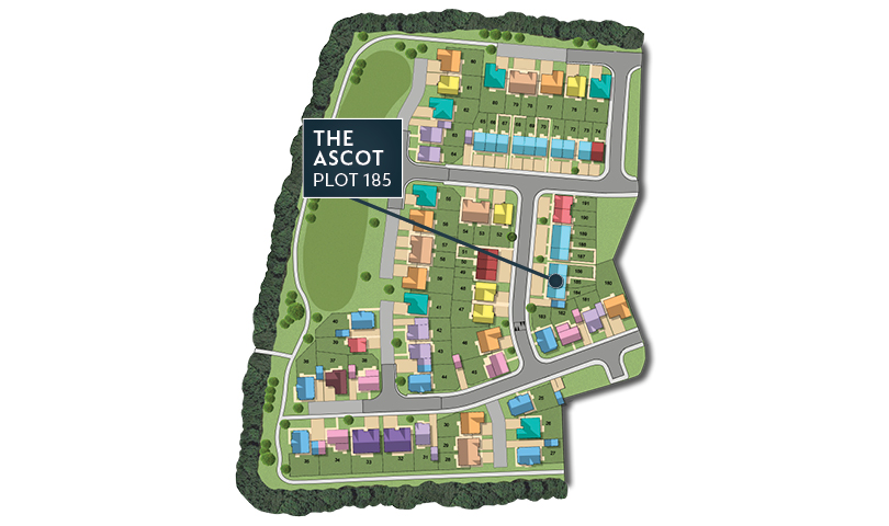 MSG MAP web Phase 2 Ascot 185