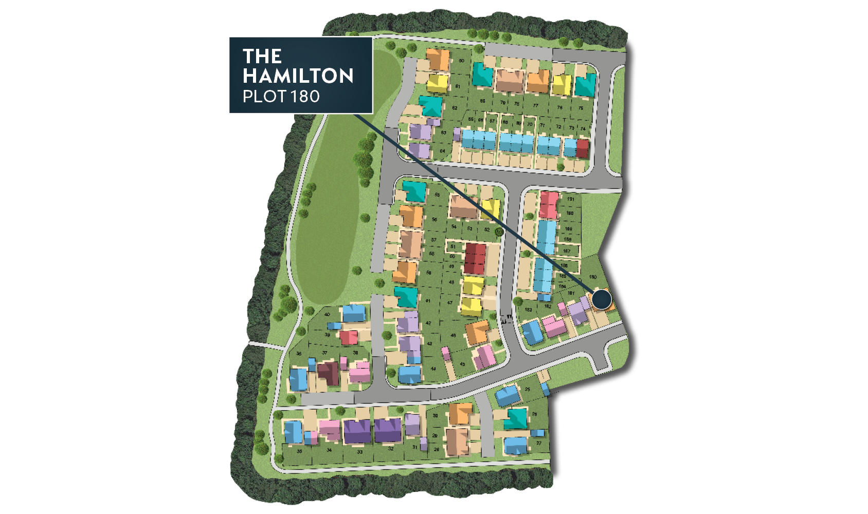 MSG MAP web Phase 2 Hamilton 180