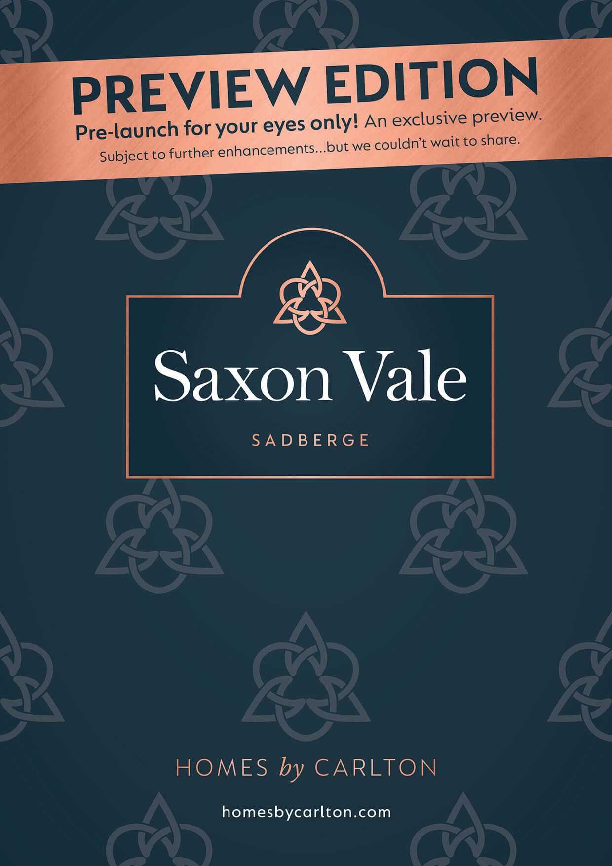image of saxon vale preview cover
